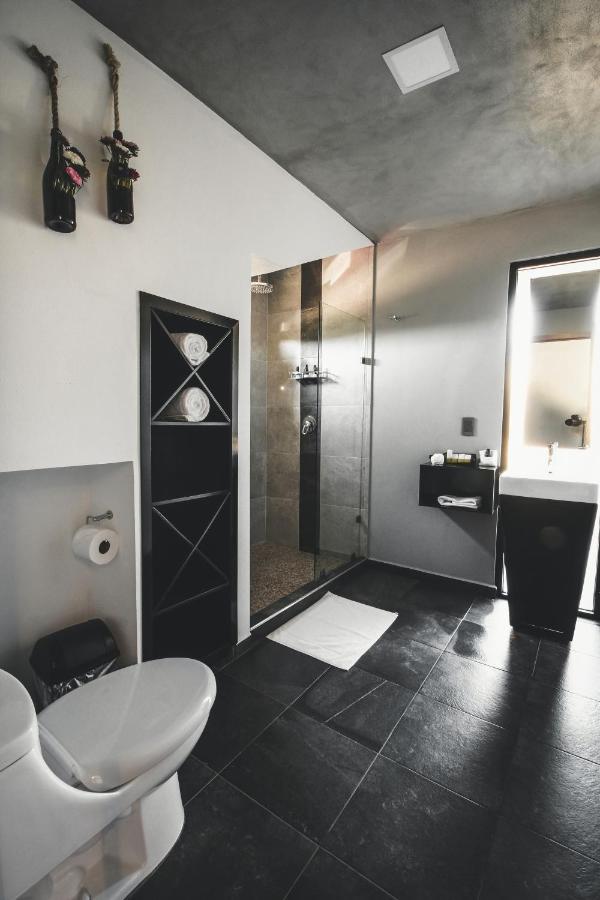 Origen75 Loft - Villas - Skypool - Vinedo, Вале де Гуадалупе Екстериор снимка